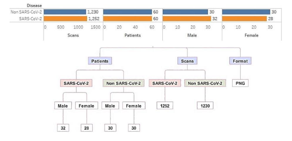 COVID-19 CT Scans Classification (AI4EU)